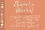 Chamelia Blinkar Font