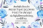 Chamelia Script Font