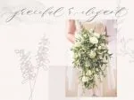 Chantal Script