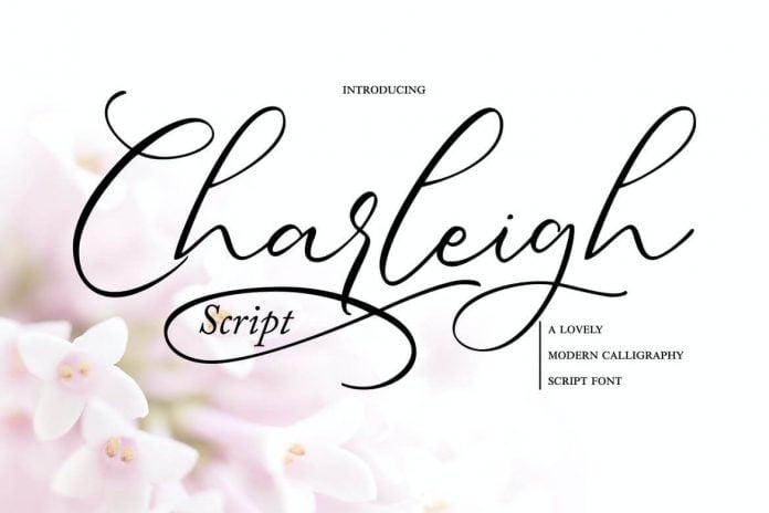 Charleigh Modern Calligraphy Script Font