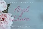 Charlotte Sweet Font