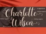 Charlotte Wilson Font
