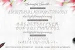 Charmington Script Font