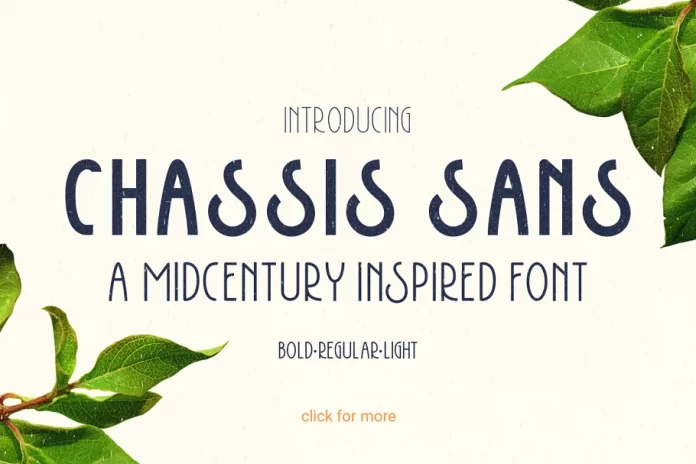 Chassis Sans Font Family
