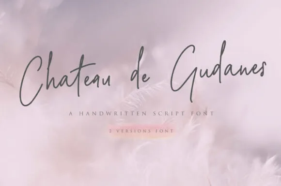 Chateau De Gudanes Font