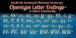 Chatter Pro Font Family