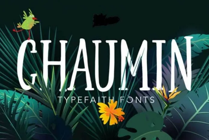 Chaumin Font