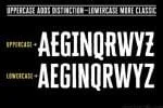 Cheddar Gothic Font Family
