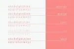 Chelina Slab Serif Font Family