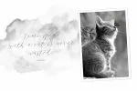 Chellaras Script Font