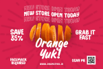 Chenile Deluxe Font