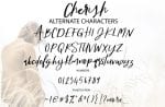 Cherish Font