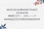 Cherish Typeface