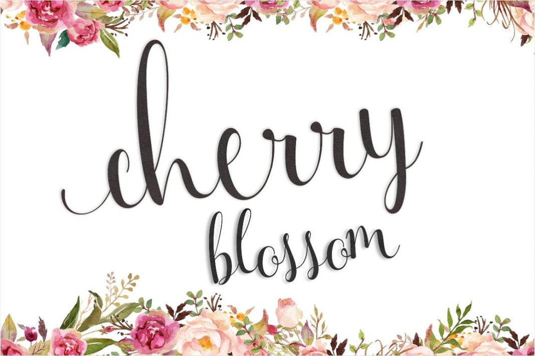 Cherry Blossom Font Cherry Blossom Font