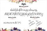 Cherry Blossom Font