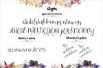 Cherry Blossom Font