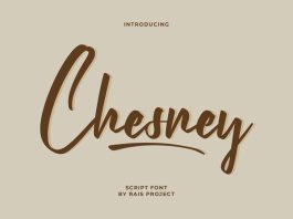 Chesney Font