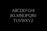 Cheston Slab Serif Font