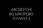Cheston Slab Serif Font