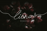 Chick Budapest Signature Font