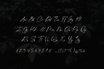 Chick Budapest Signature Font