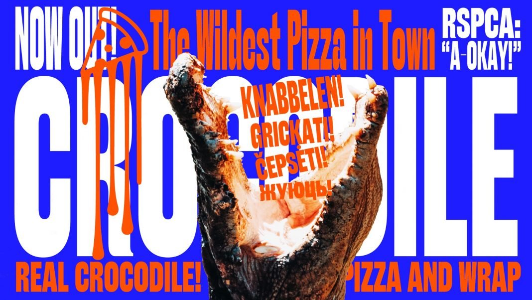 Chicken Shop Gothic Font Family