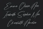 Chintia Slanted Script Brush Handmade Beauty Font