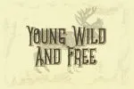 Chivel Mind - Vintage Font