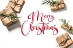 Christmas Blossom Font