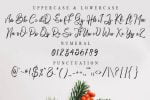 Christmas Dream Font