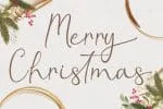 Christmas Leaf Font
