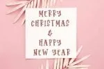 Christmas Monstera Font