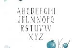 Christmas Script Font