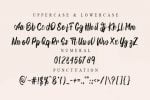 Christmas Wedding Font