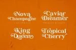 Christopher Wells - Elegant Serif Font