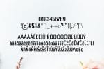 Chrys Font