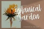 Cinthya Einzberg Font