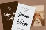 Cinthya Einzberg Font