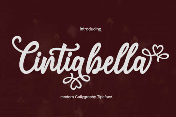Cintiabella Font