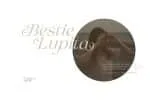 Claire Murphy - Stylish Italic Serif