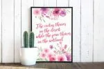 Clairyn Font