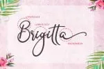 Clara Signature Font