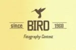 Claretta (Font Family)
