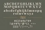 Classical Authentic Font