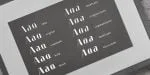 Claudia Fiesta Font Family