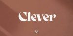 Clever Family 5 Styles Font