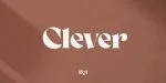 Clever Family 5 Styles Font