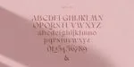 Clever Family 5 Styles Font