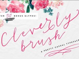 Cleverly Brush Font
