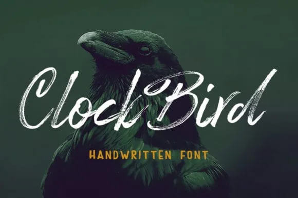 Clock bird